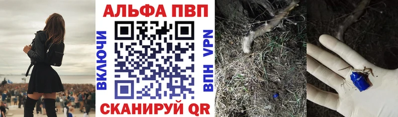 А ПВП крисы CK  Онега 