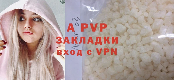 прущие грибы Богданович