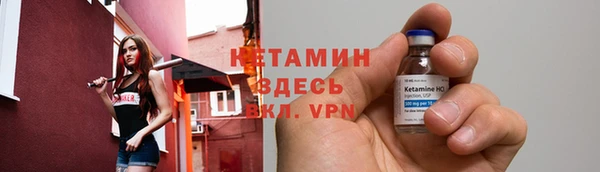 прущие грибы Богданович