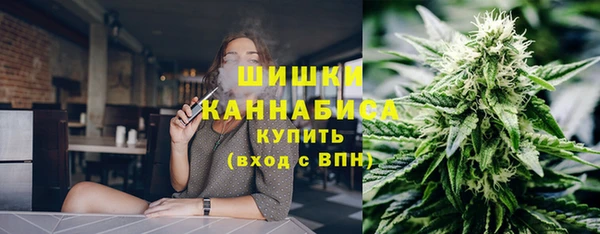 прущие грибы Богданович